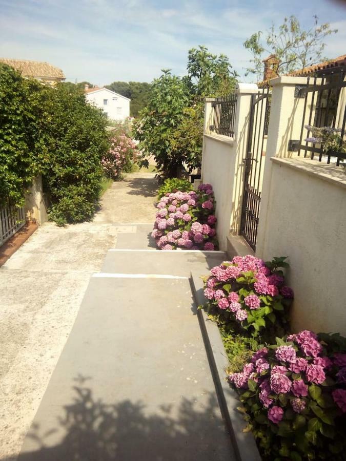 Apartman Vida Pula Exterior foto